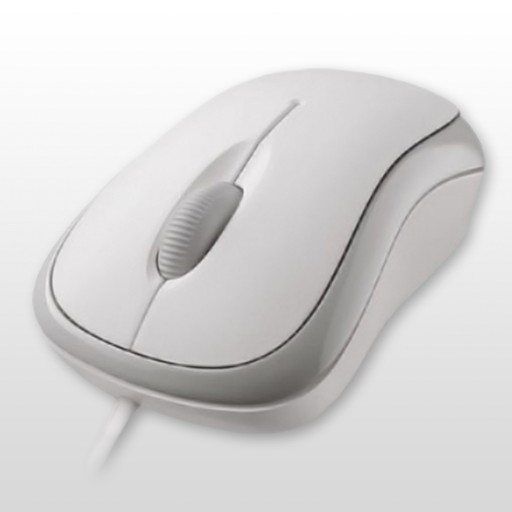 Computer Mouse