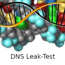 dns leak-test