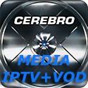 .cerebro media