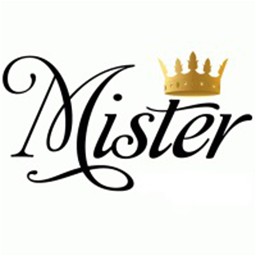 the mister official repository