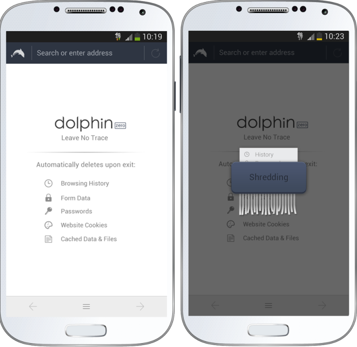 dolphin private browser